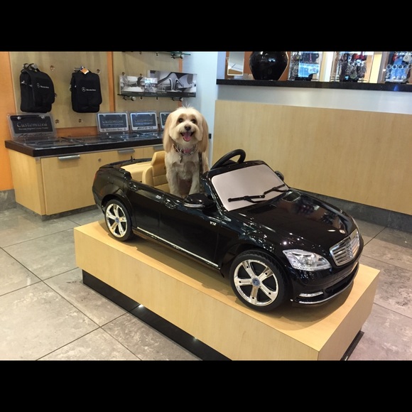 Bundle 3 dog 🐶 items for 10% off / read m… - Picture 10 of 16